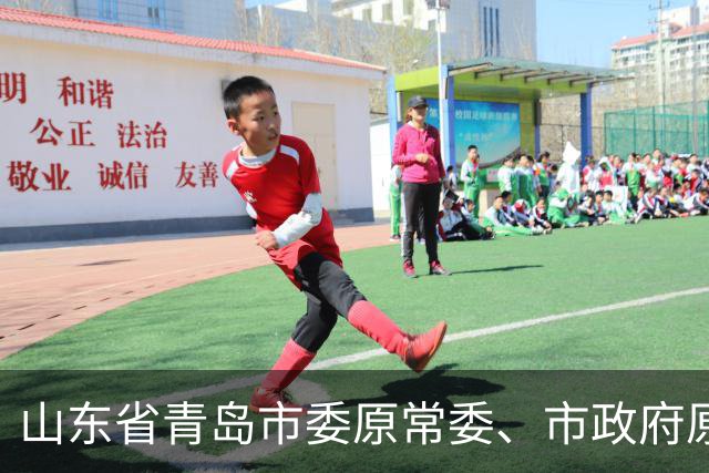 山东省青岛市委原常委、市政府原副市长王波被双开